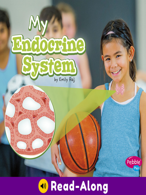 Cover image for My Endocrine System